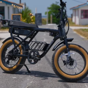 vae fat bike