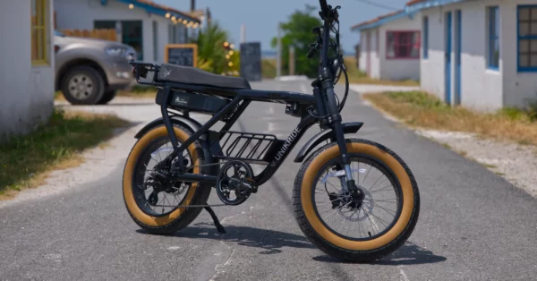 vae fat bike