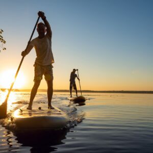 Paddle