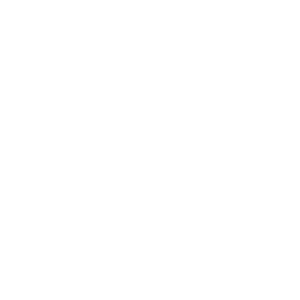 Vélos adultes