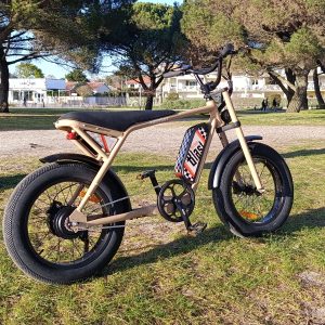 VAE FAT BIKE SOLO